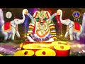 శ్రీ పద్మావతి అమ్మవారి కార్తిక బ్రహ్మోత్సవాలు- వసంతోత్సవం | నవంబర్ 14వ తేది సాయంత్రం 4 గంటలకు | SVBC  - 00:49 min - News - Video