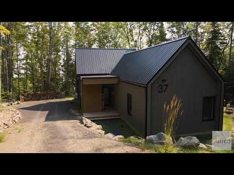 Property video