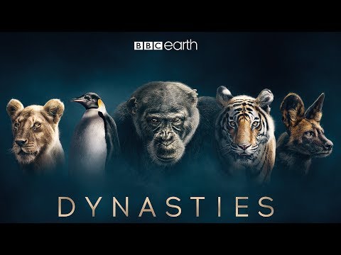 Dynasties'