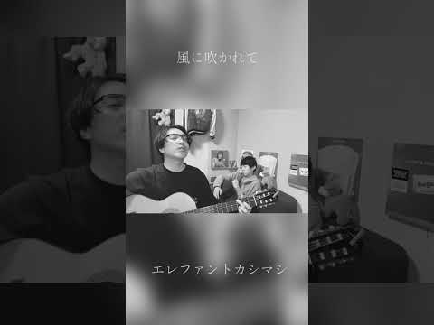 インドア派だけど風に吹かれて歌ってみた - エレファントカシマシ
