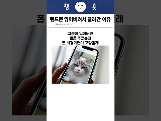핸드폰 잃어버려서 끌려간 이유