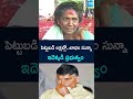Women Farmer Comments on Chandrababu Govt | #ytshorts @SakshiTV  - 00:27 min - News - Video