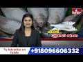 Pulasa Fish Craze In Godavari : పుస్తెలమ్మైనా పులస కొని తినాల్సిందే..! పులస.. రుచి, రహస్యాలు | hmtv  - 0 min - News - Video