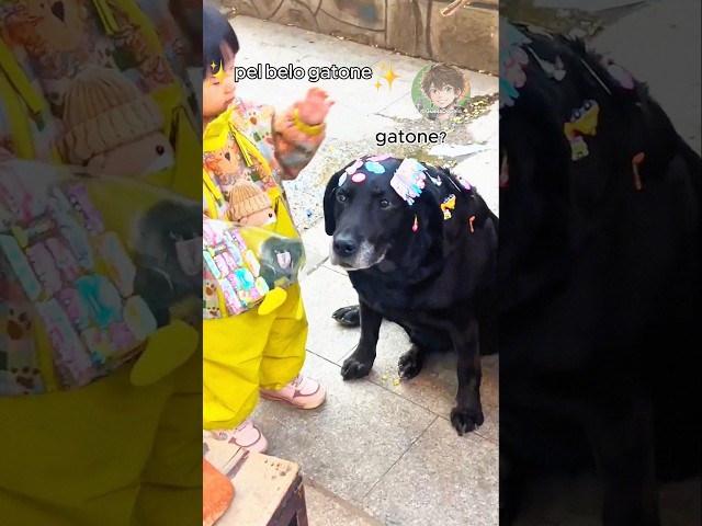 🐶 Disavventure canine (PARTE 2)