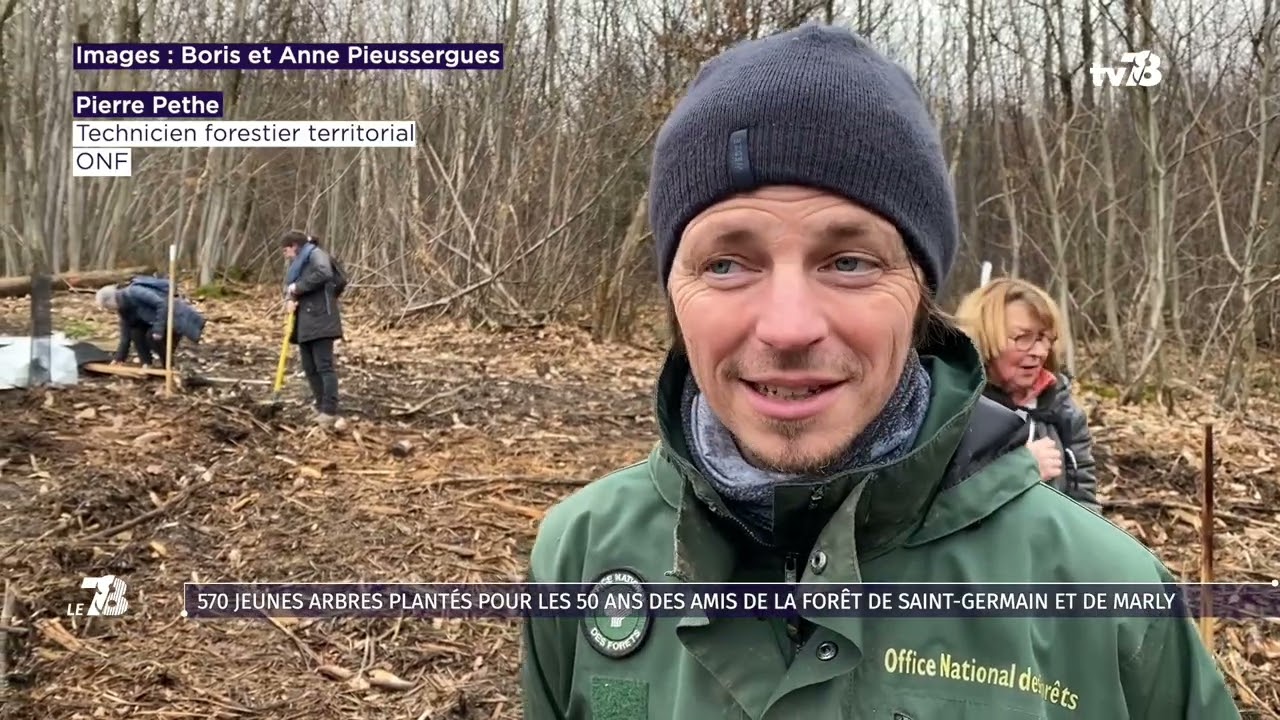 Le 7/8. Sommet IA, reboisement à Marly et Saint-Valentin dans les hôtels