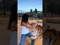 Woman attacked by pet tiger, video shocks netizens