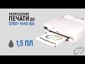 Обзор Epson Expression Photo XP-55: реинкарнация легенды