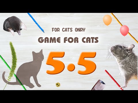 【CAT GAMES】MIX5.5 Rope,Mouse,etc.30min.
