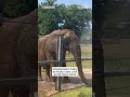 Zookeepers help animals stay cool amid heat wave  - 00:27 min - News - Video