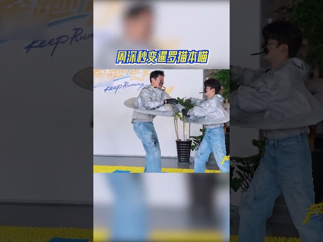 周深秒变暹罗猫本喵 #奔跑吧