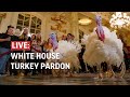 White House turkey pardon 2023: Watch live as Biden pardons Thanksgiving turkeys Liberty and Bell