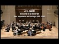 Pekinel Kardeşler - Bach, Concerto