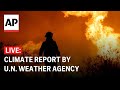 LIVE: Annual climate report by U.N.s World Meteorological Organization