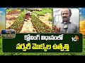 క్లోనింగ్ విధానంలో నర్సరీ మొక్కల ఉత్పత్తి | Cloning Method in Nursery Plant | Matti Manishi | 10TV