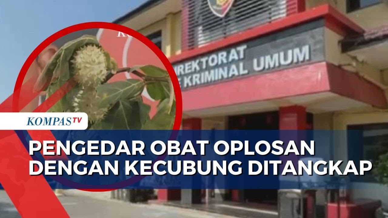 Polisi Tangkap 4 Tersangka Pengedar Obat Terkait Kasus Mabuk Kecubung