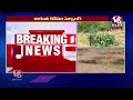 Live : Forest Department Officers Searching For Cheetah At Shamshabad | V6 News  - 01:11:16 min - News - Video