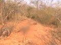 20 shot dead in Andhra forests: NDTV reports from encounter site