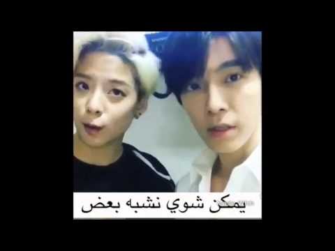الجزء 6 : المواقف المحرجة التي حصلت لنجوم الكيبوب 😂
