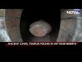 Ancient Caves, Temples Found In Madhya Pradesh Tiger Reserve  - 02:02 min - News - Video