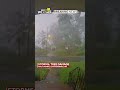 Storms tear trees apart in Gaithersburg, MD(WBAL) - 00:26 min - News - Video