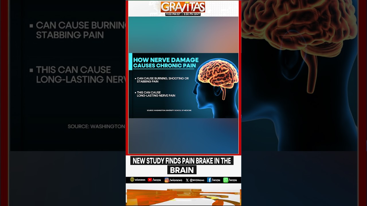 How Nerve Damage Triggers Long-Lasting Chronic Pain | The Science Behind Persistent Pain | WION