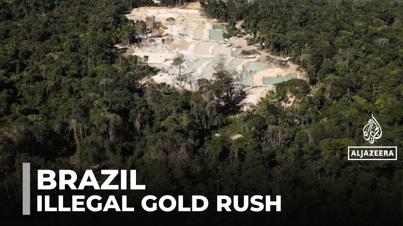 Brazil's illegal gold rush: Indigenous people & environment bear a heavy toll