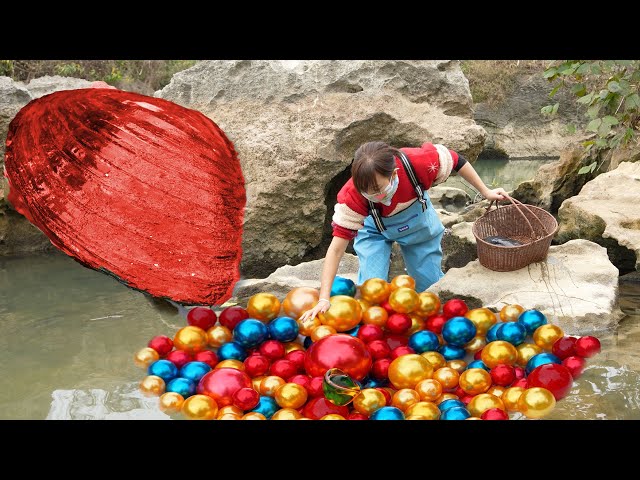 🔥 Girl Uncovers Rare Giant Mutated Clam in River, Amazingly Finds Precious Pearls Inside!