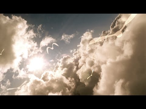 Schroeder-Headz 「NEWDAYS」 (PV)