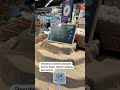Shenzhen residents stockpile food as typhoon nears  - 00:33 min - News - Video