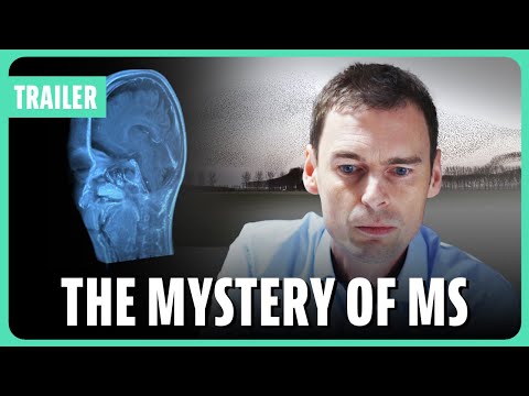 The Mystery of MS'