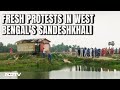 Sandeshkhali Violence | Fresh Protest By Women In Bengals Sandeshkhali, Storehouse Set On Fire