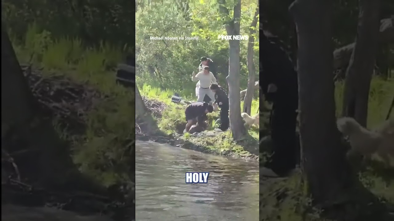 RABID beaver ATTACKS family at NJ lake #foxnews #news #us #fox