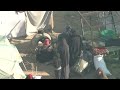 LIVE: Displacement camp in Rafah in Gaza  - 00:00 min - News - Video