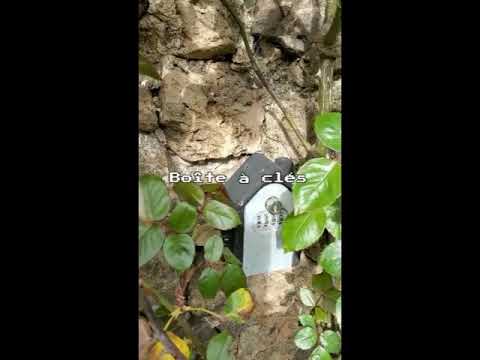 Property video
