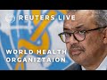LIVE: WHO briefing on global health issues, update on Gaza