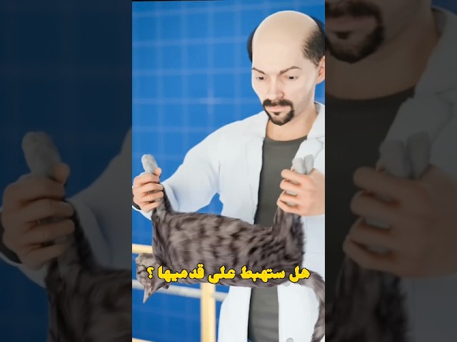 هل تنجو قطة إذا سقطت من برج خليفة ؟ 😱