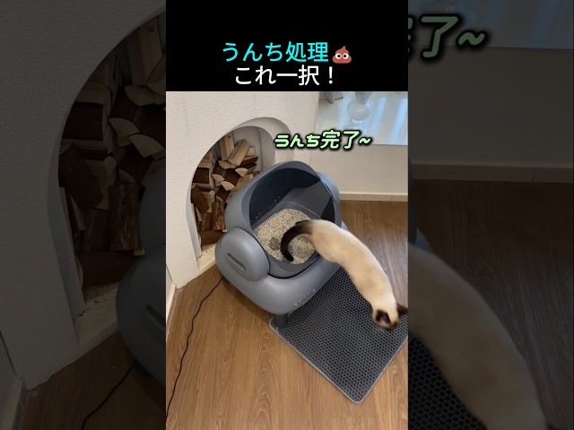 うんち処理💩これ一択！