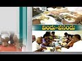 7 varieties of biryani at Biryani Fest in Vijayawada