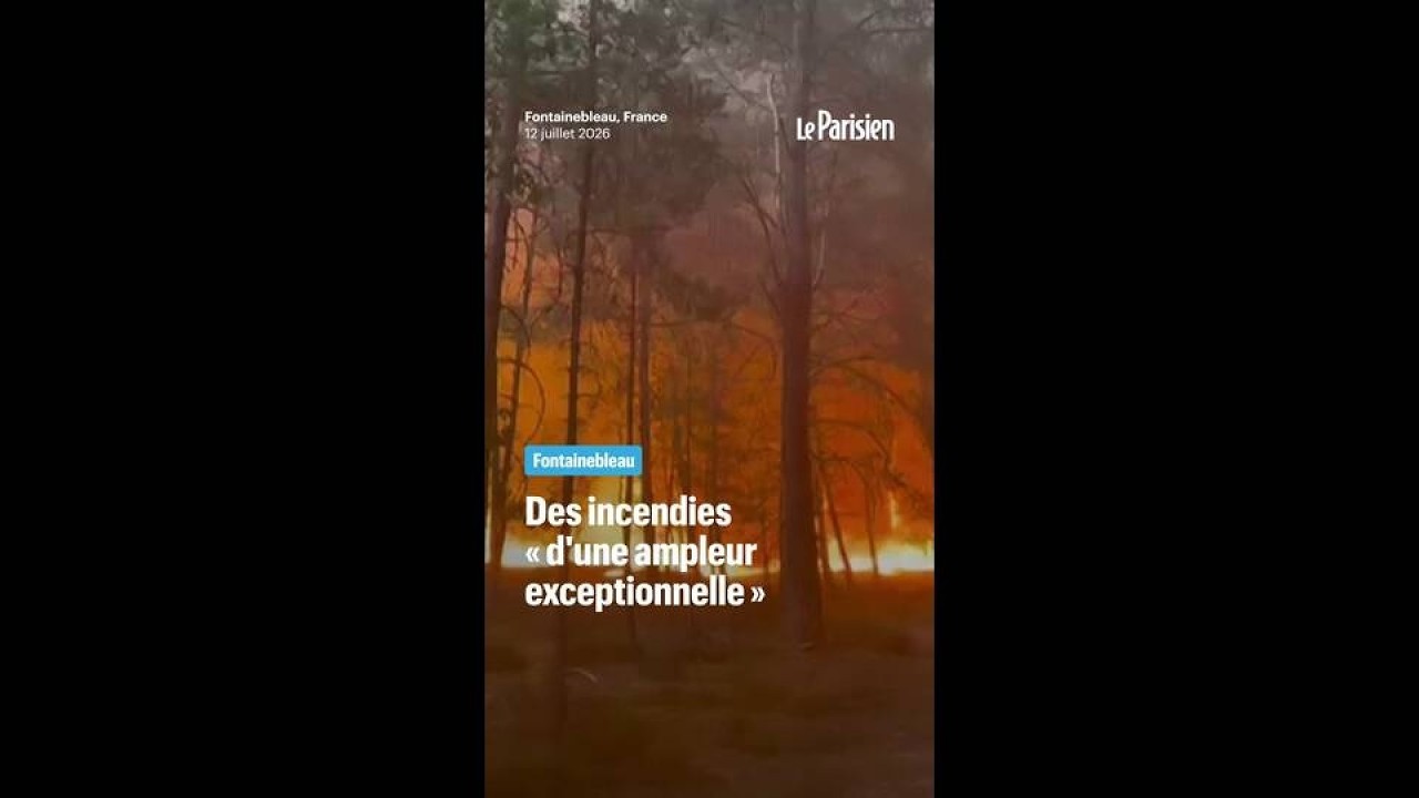 Des incendies d'« ampleur exceptionnelle » ravagent Fontainebleau