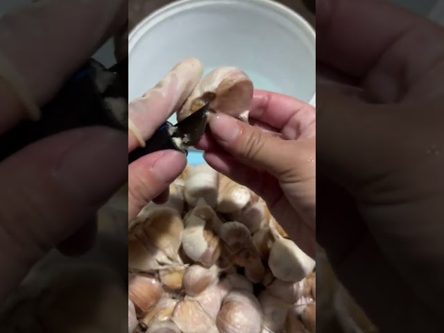 Portable garlic peeling knife