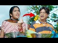 ఇంత చిన్నగా ఉంది ఏంట్రా...? | Hema & Ms Narayana Best Hilarious Comedy Scene | Volga Videos