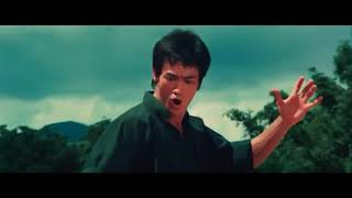 kung fu fighting remix mp3