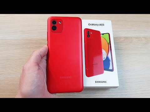 Samsung Galaxy A03s: цены в магазинах, характеристики, аксессуары ...