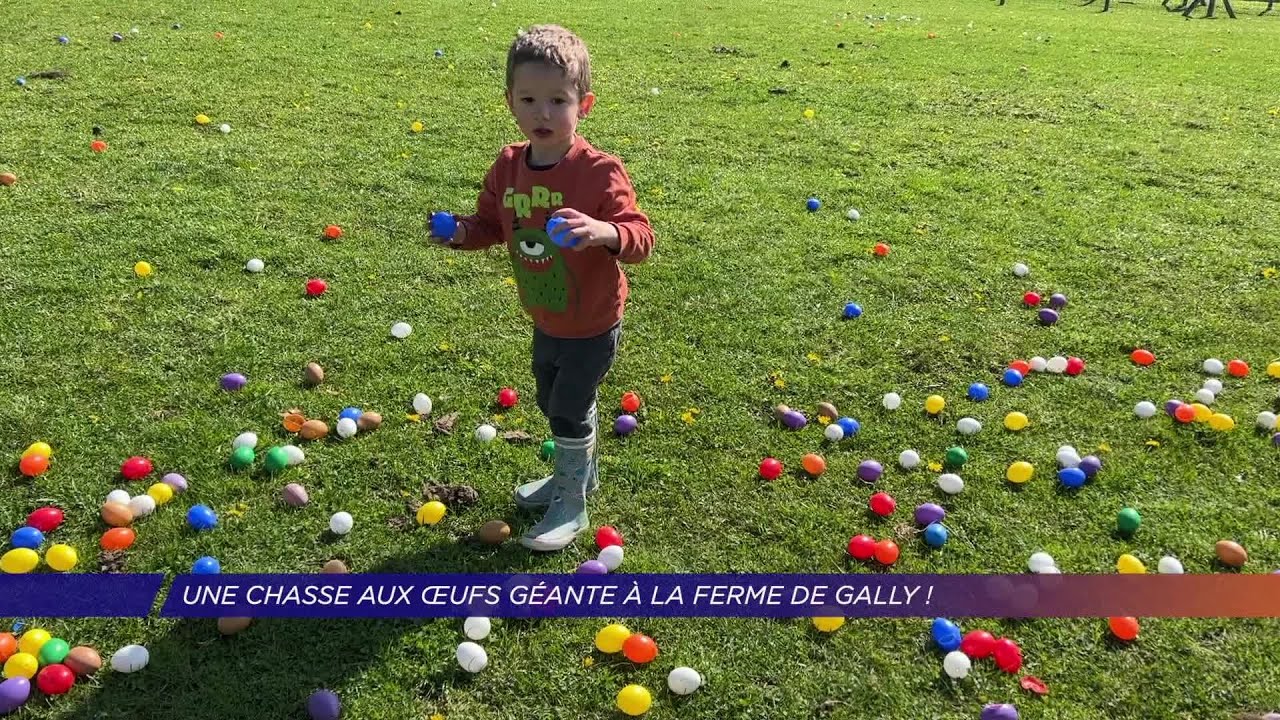 Yvelines | Une chasse aux œufs géante à la Ferme de Gally !