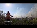 Firefighters and locals battle fires in Brazil’s Pantanal wetlands - 00:50 min - News - Video