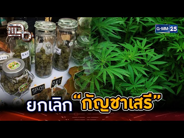 ยกเลิก “กัญชาเสรี” คุมเข้มใช้ทางการแพทย์เท่านั้น | Highlight | แฉ 24 มิ.ย. 68 | GMM25