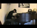 Les Petites Filles Modèles - W. Sheller (Piano Solo arr.)