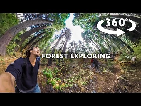 FOREST EXPLORING 360 
