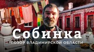 Личное: Собинские коридоры: мертвая хватка нищеты | Бабушки против алкоголиков, преступников и чиновников