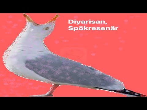 Diyarisan - Spökresenär (Ghost Traveller)